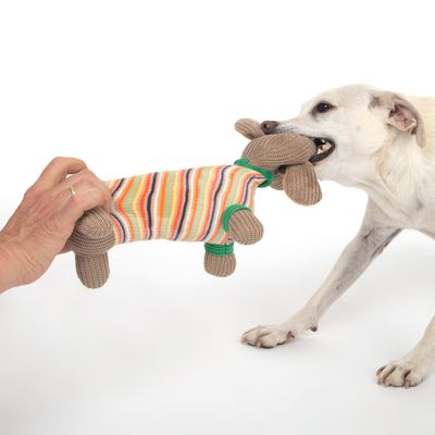 TIAKI Hundespielzeug Dackel Cooper