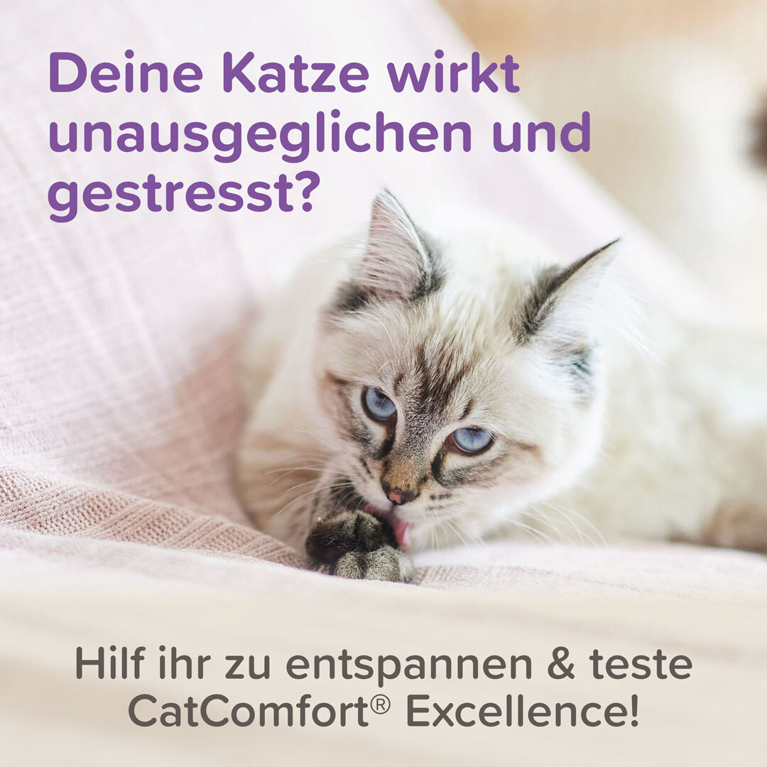 Beaphar Beruhigungsmittel Beaphar CatComfort Excellence Nachfüll-Flakon für Verdampfer