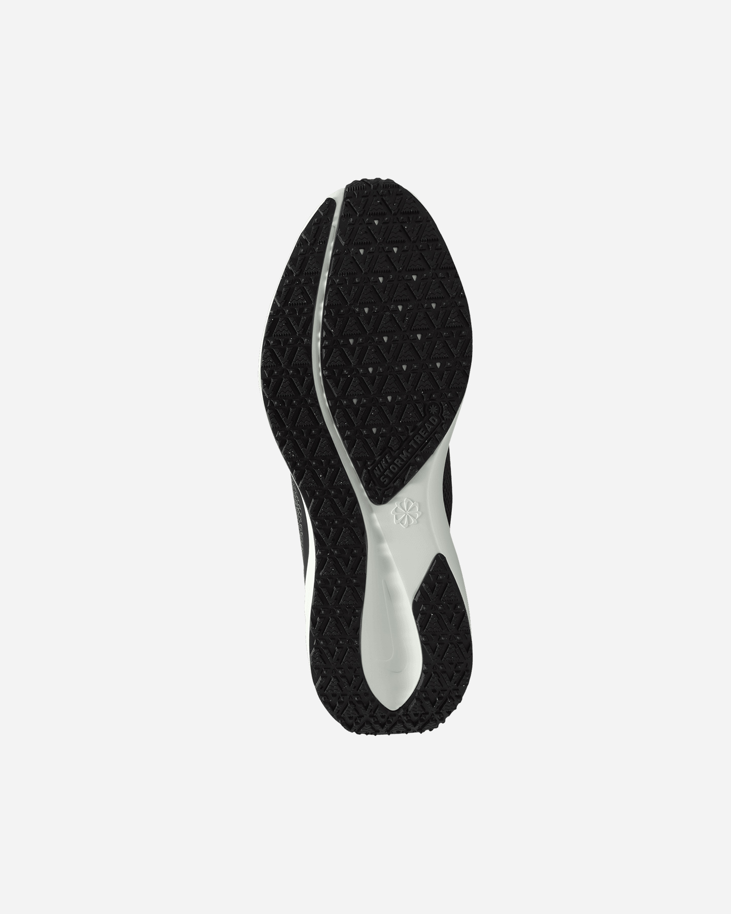 Scarpe Running Nike Pegasus 41 Gore Tex M FQ1356-002