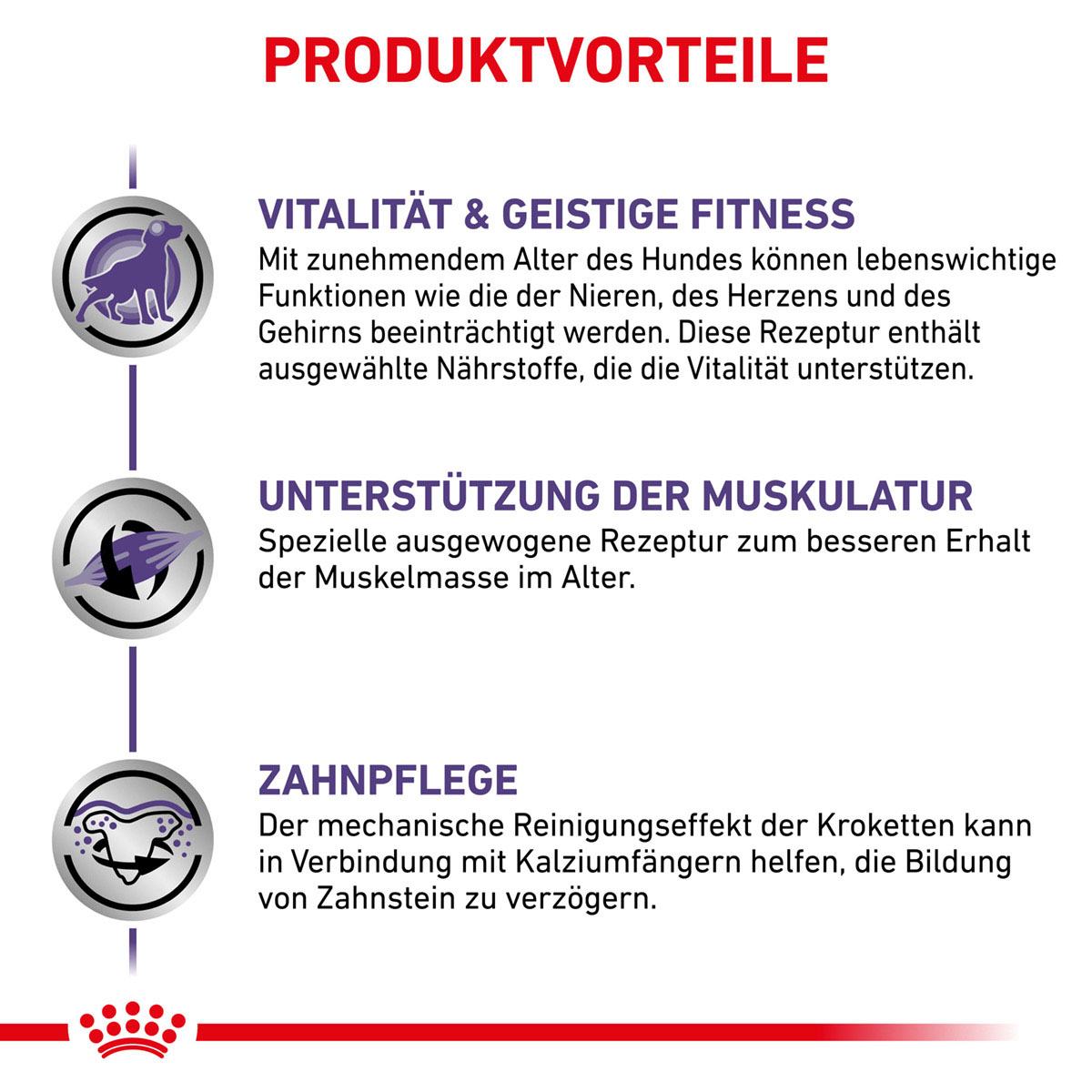 ROYAL CANIN Expert MATURE CONSULT SMALL DOGS Trockenfutter für Hunde