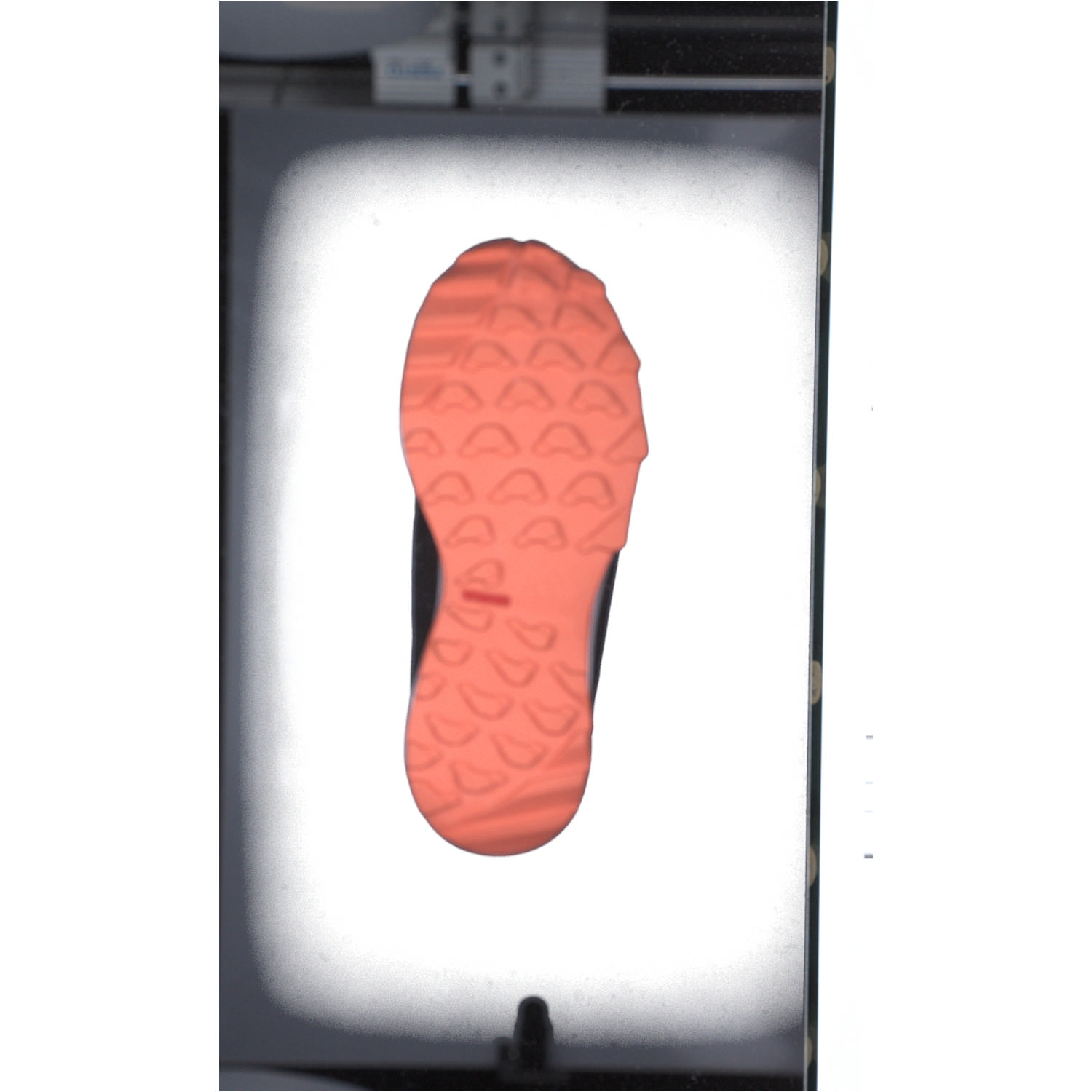 Adidas Terrex Agravic Boa, Outdoorschuhe, Kinder, cblack/crywht/impora