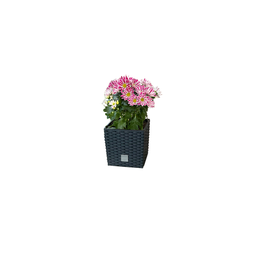 Protanic Powertec Garden Blumentopf 