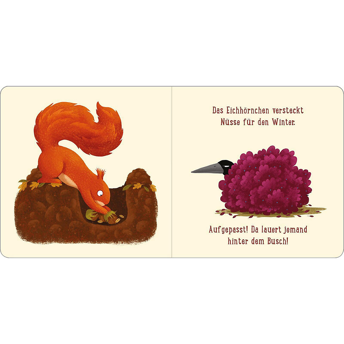 Ein Tag im Wald: Eichhörnchen
