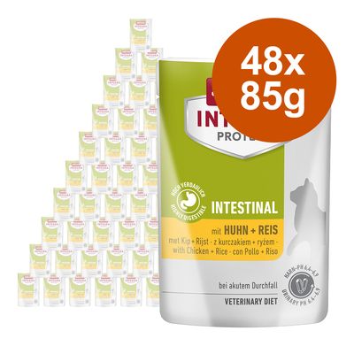 Sparpaket Animonda Integra Protect Adult Intestinal 48 x 85 g
