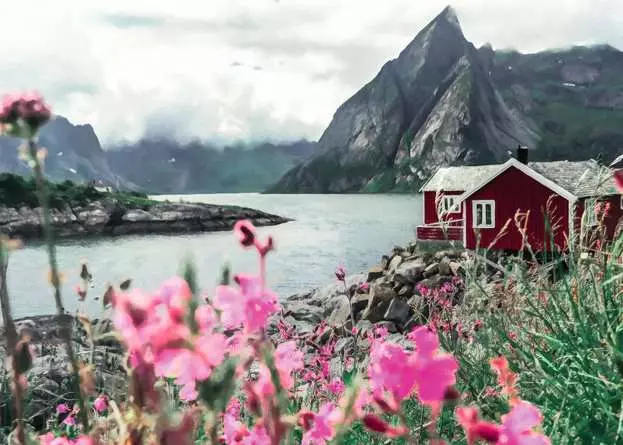 Puzzle 1000 Teile - Reine, Lofoten, Norwegen