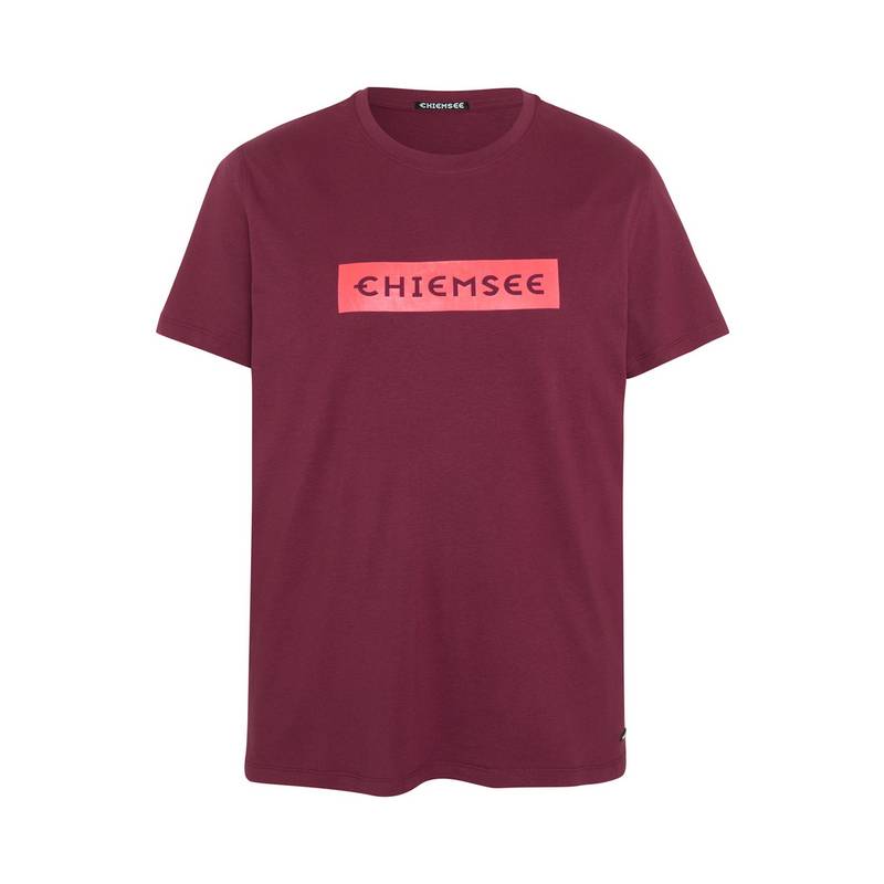 Chiemsee T-Shirt T-Shirt Herren