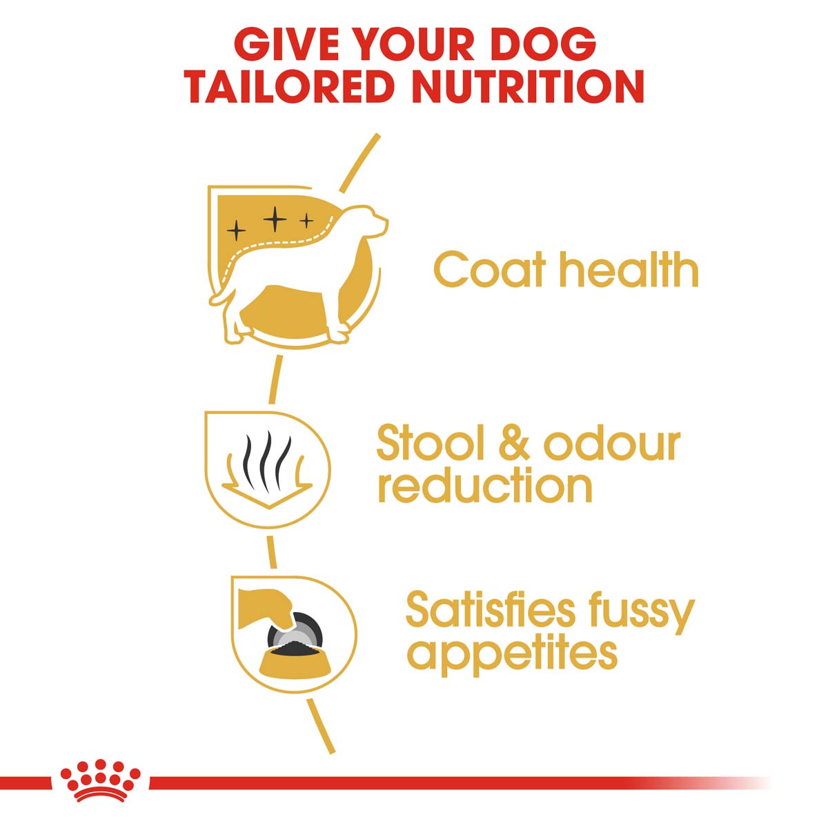 ROYAL CANIN Maltese Adult Hundefutter trocken kaufen bei ZooRoyal