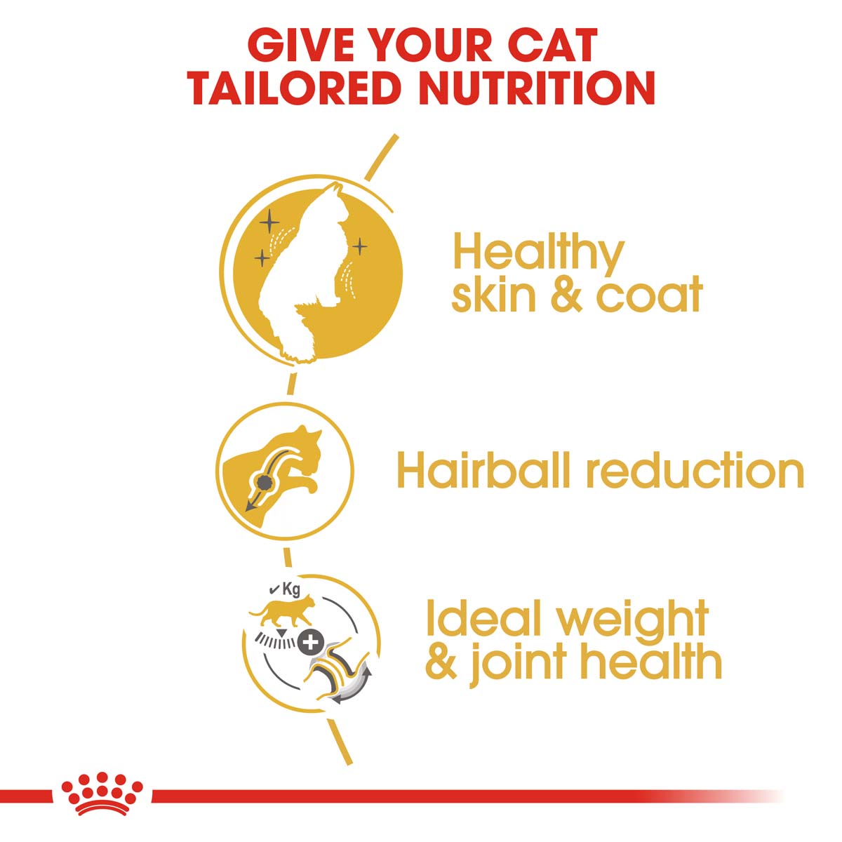 ROYAL CANIN Norwegian Forest Cat Adult Trockenfutter für Norwegische Waldkatzen