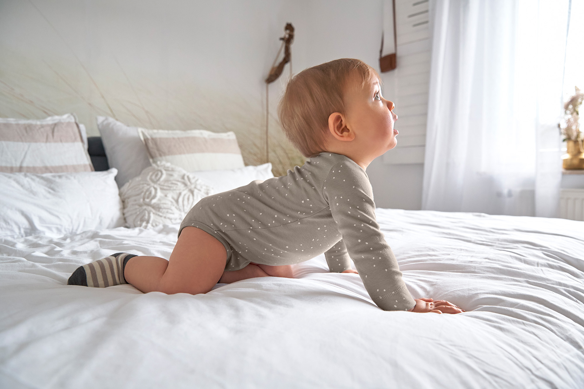 Baby Wickelbody langarm - Bio Baumwolle, Punkte, Taupe