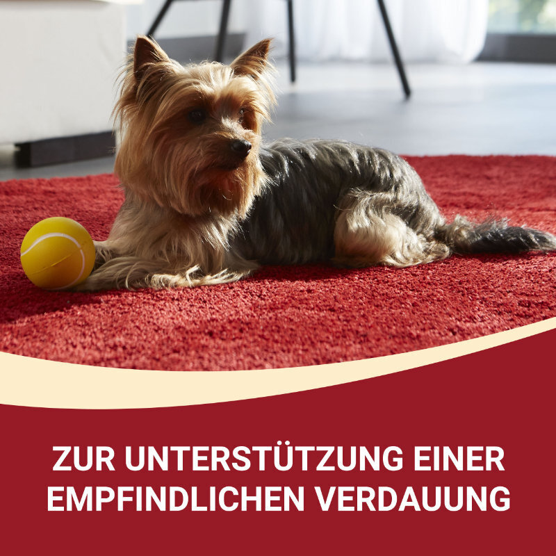 Purina ONE Hundetrockenfutter Purina ONE Mini Adult Lachs 800 g