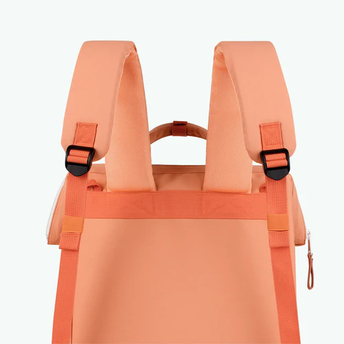 Fréjus Salmon Changing Bag