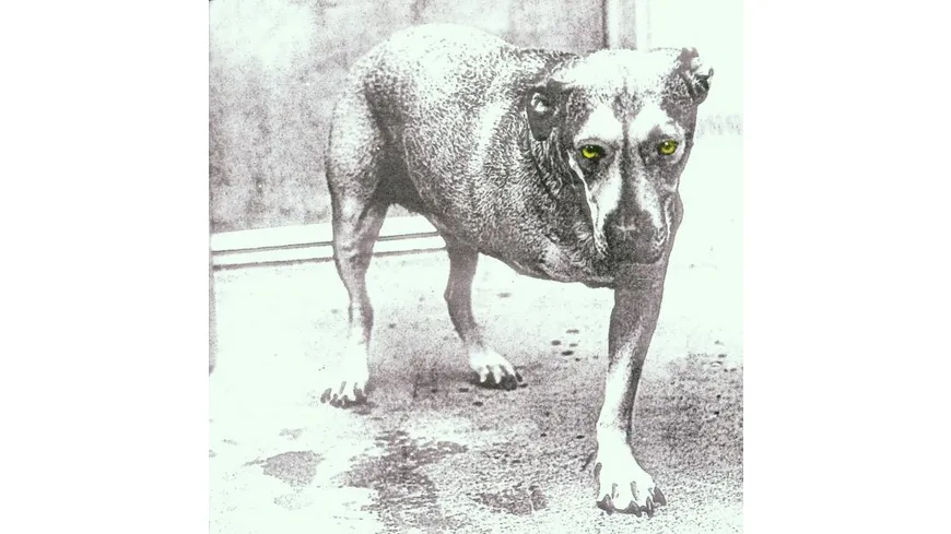 Alice In Chains