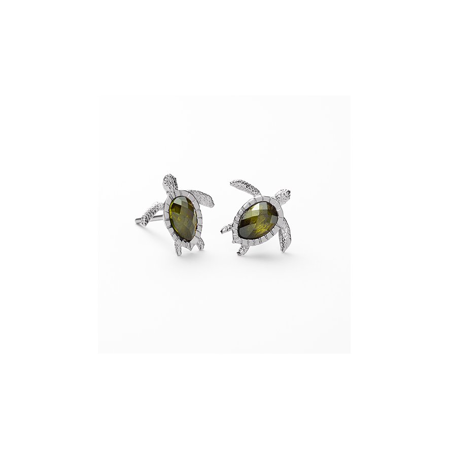 Paul Hewitt Ohrstecker Turtle