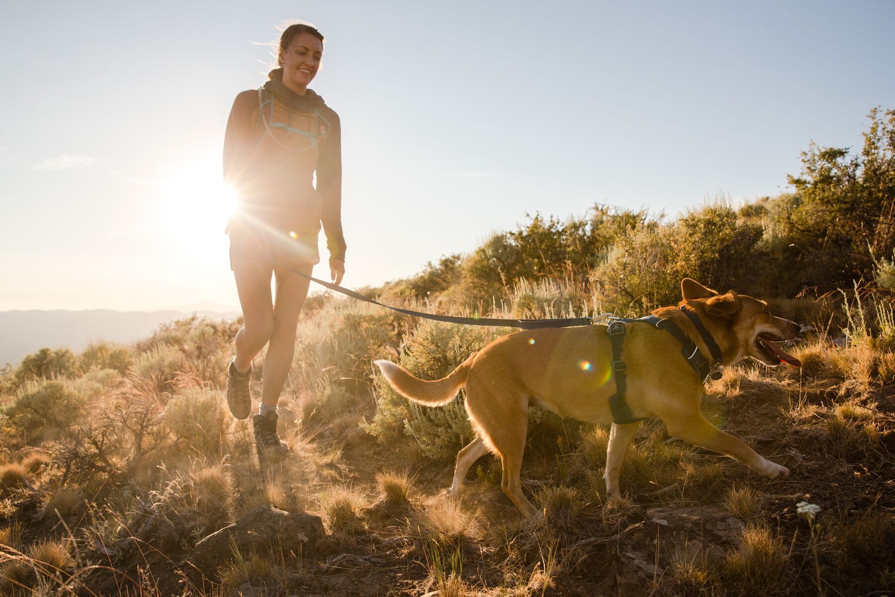 Ruffwear Hundeleinen Ruffwear Front Range™ Leine blau