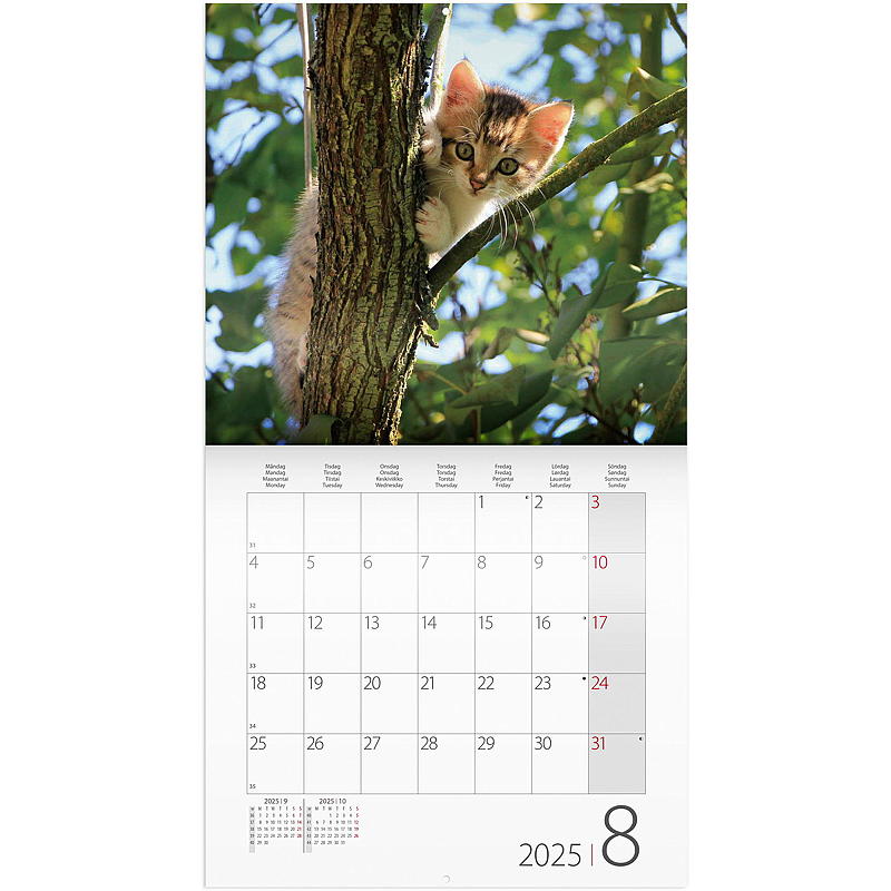Veggkalender cats 2025