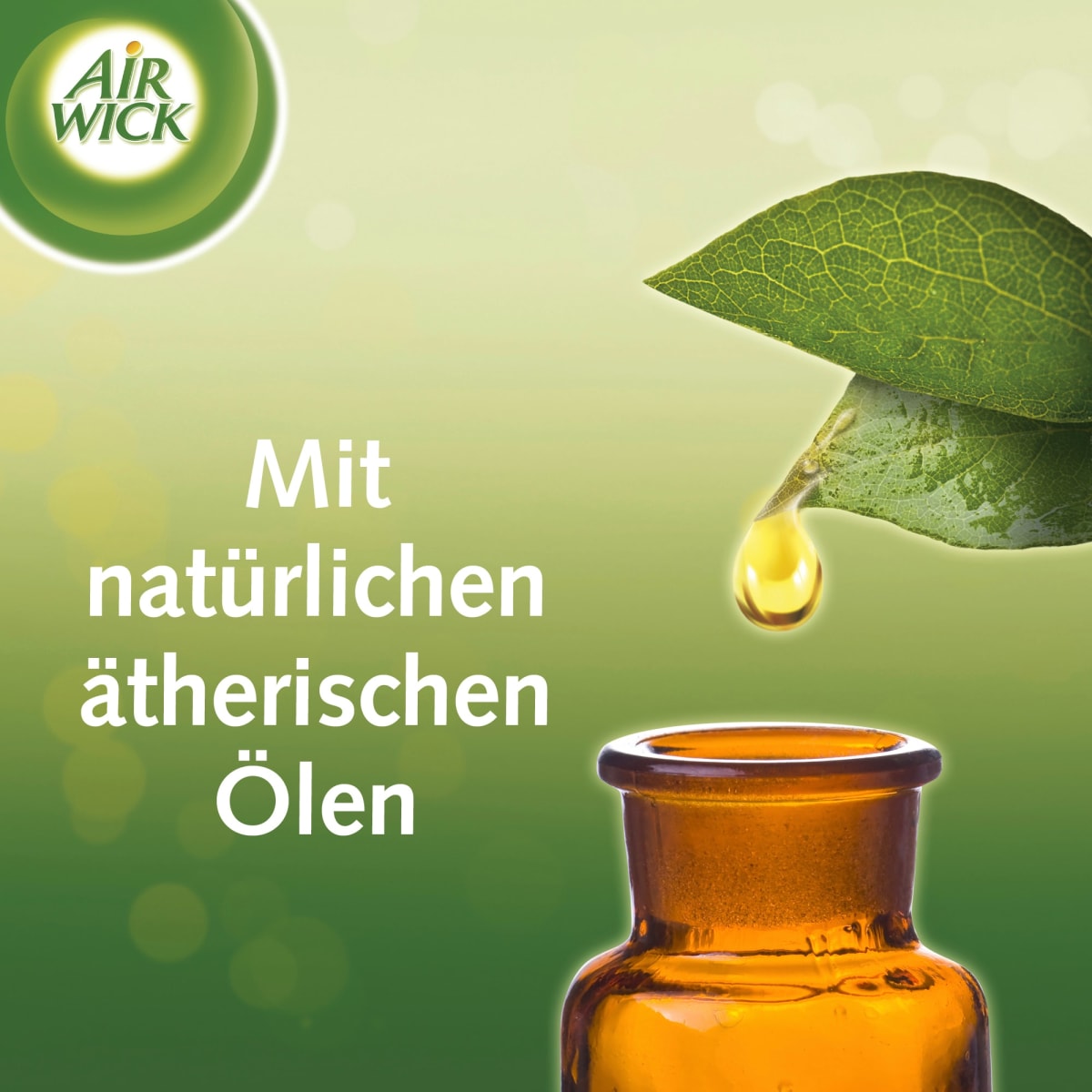 Lufterfrischer Duftstecker Cotton & Weißer Flieder Nachfüllpack, 38 ml