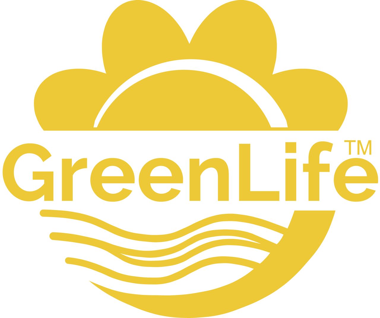 GreenLife Sickerschacht 950 l