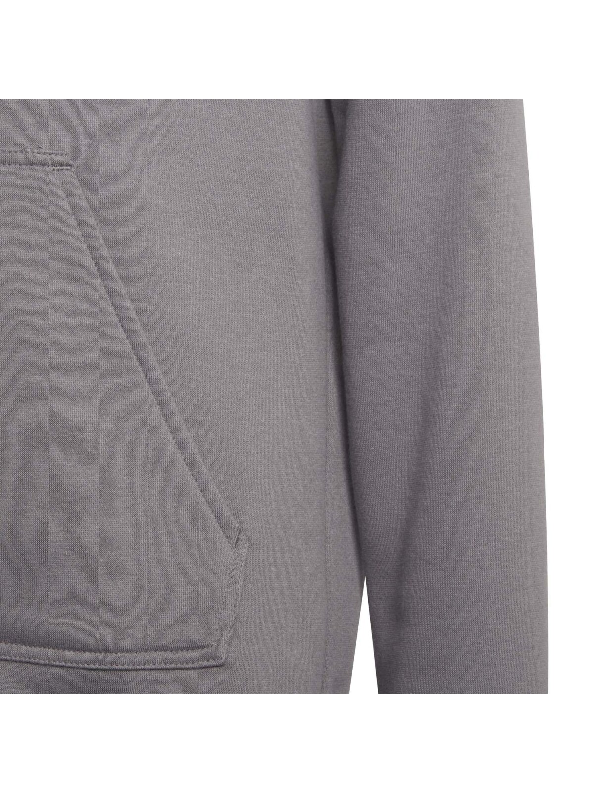 Adidas Entrada 22 Kinder Hoodie grau