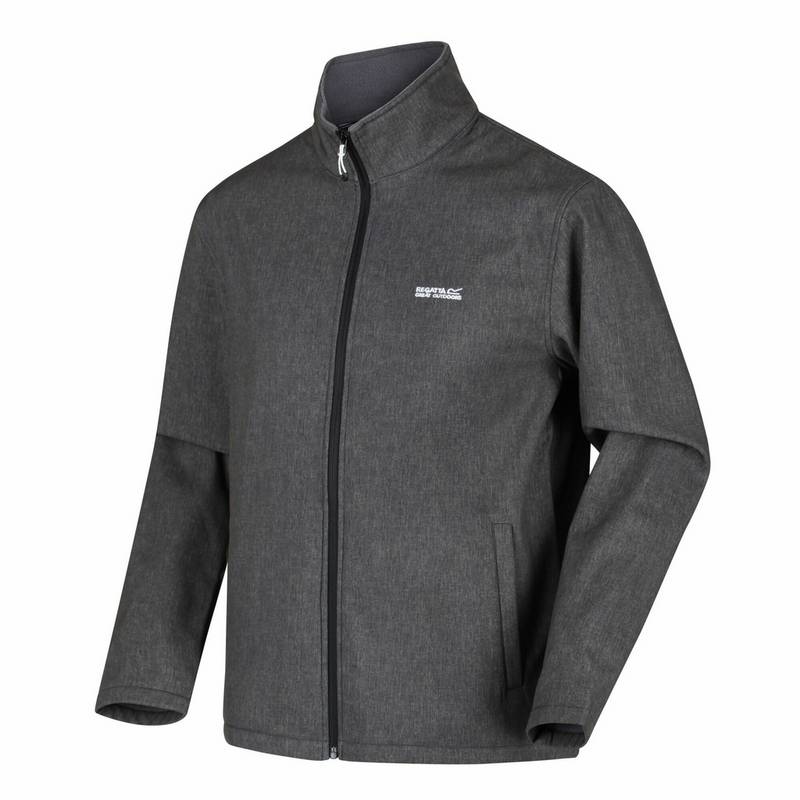 Regatta Cera V Softshelljacke Herren