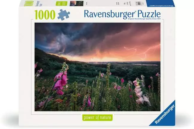 Puzzle 1000 Teile - Ein Sturm zieht auf