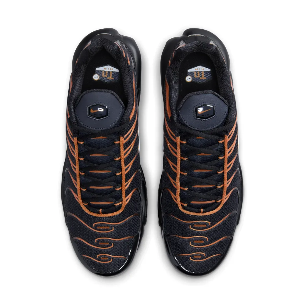 Nike Air Max Plus FN6949-400 / blau