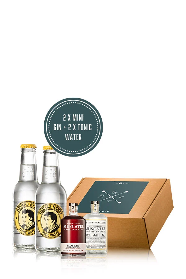 GW Mini Bar - Thomas Henry Geile Weine Weinpaket