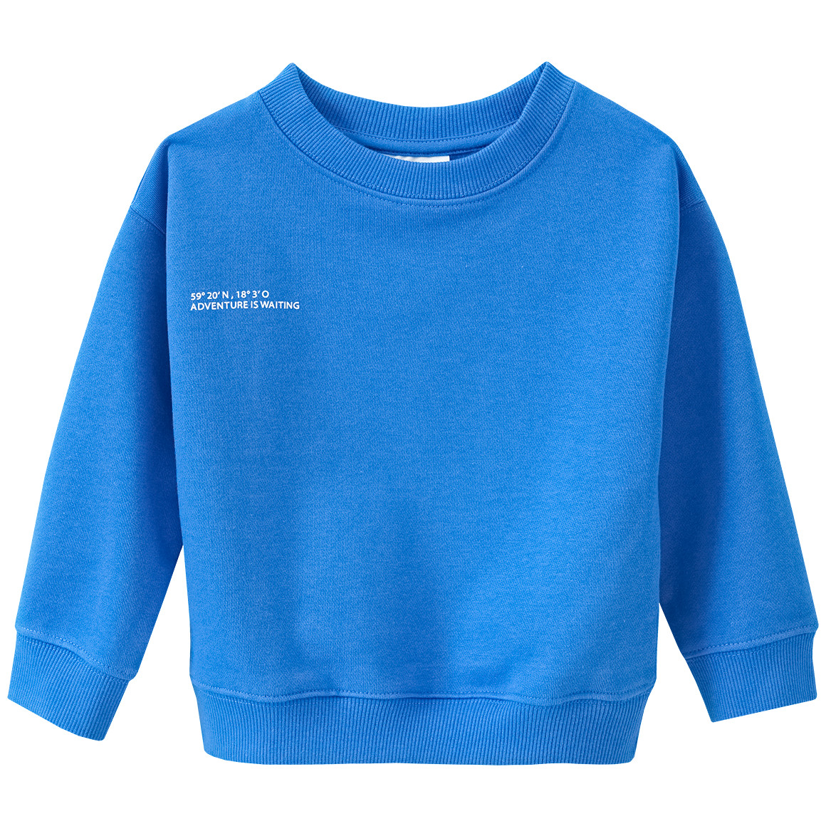 Kinder Sweatshirt mit kleinem Print