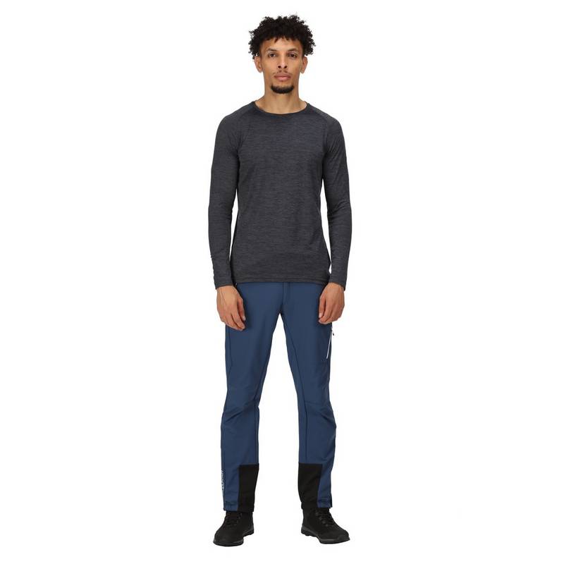 Regatta Mountain Wanderhose Herren