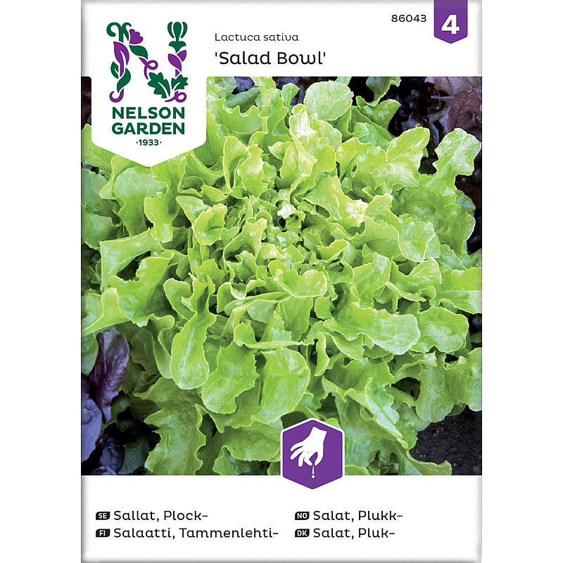 Nelson garden Frø Salat Plukk-, Salad Bowl