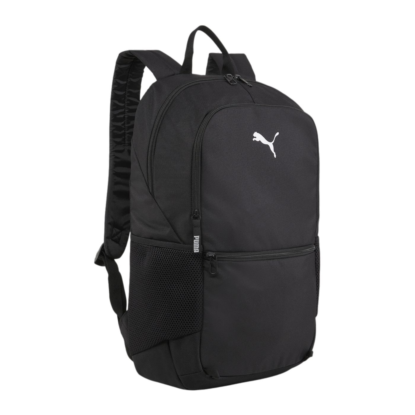 PUMA teamGoal Ballnetz Rucksack Schwarz F01