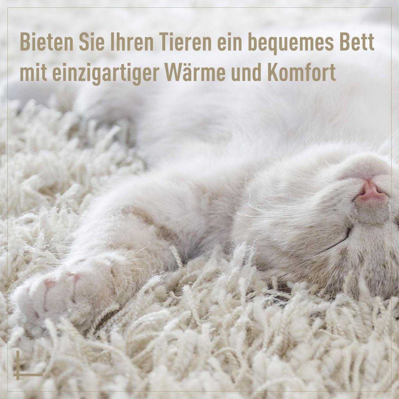 PawHut Katzenbett aus Rattan mit Kissen Katzenhöhle Hundehütte Beige Ø56 x 35 cm