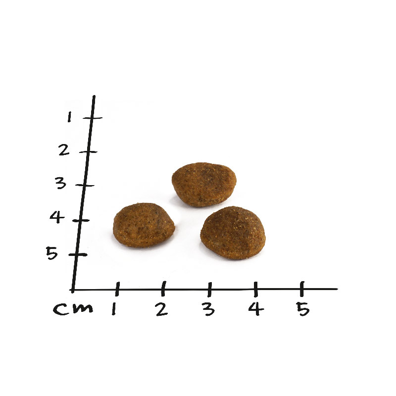 NutriQM Hundetrockenfutter NutriQM M!EAT Senior 5 x 1,5 kg