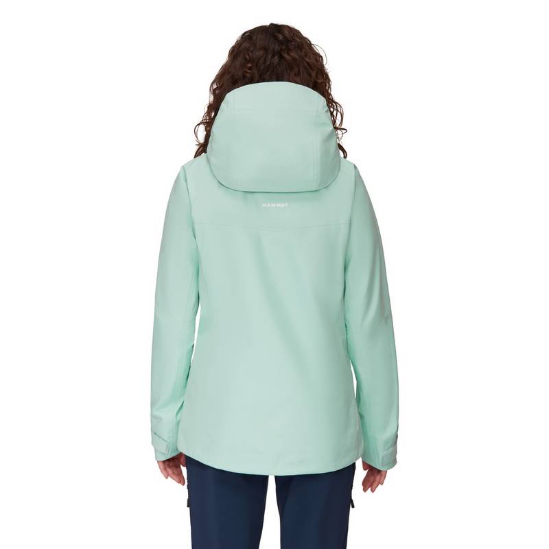 Mammut Crater Hooded Hardshelljacke Damen