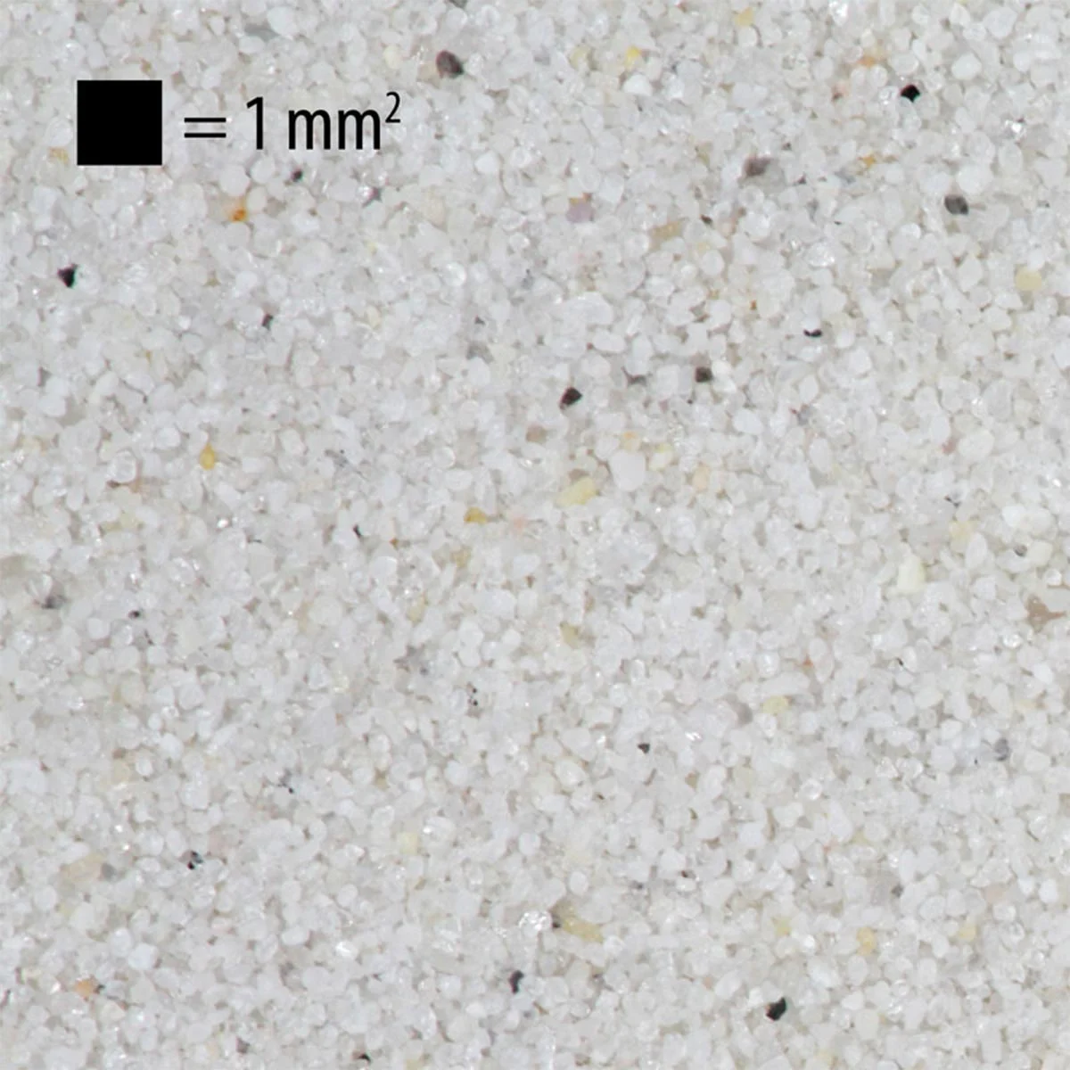 JBL Sansibar White 10kg günstig kaufen