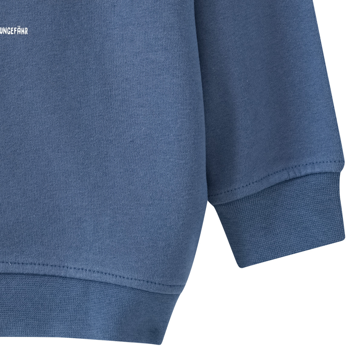 Kinder Sweatshirt mit Schwertwal-Motiv