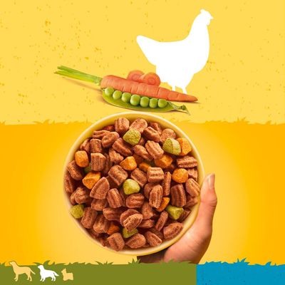 Pedigree Adult mit Huhn und Gemüse