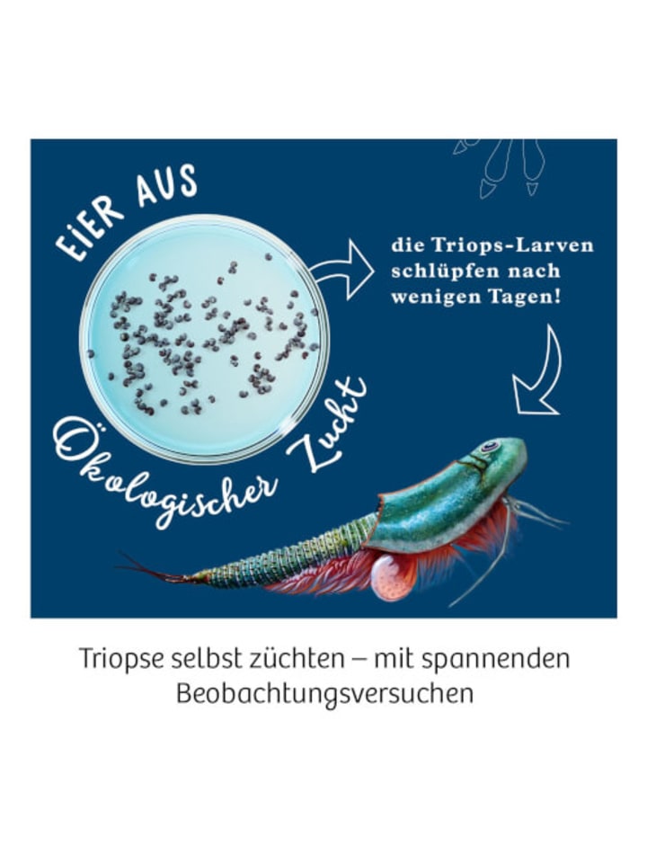 Kosmos Experimentierkasten Urzeitkrebse züchten Triops-Welt, 8-14 Jahre günstig kaufen onesize