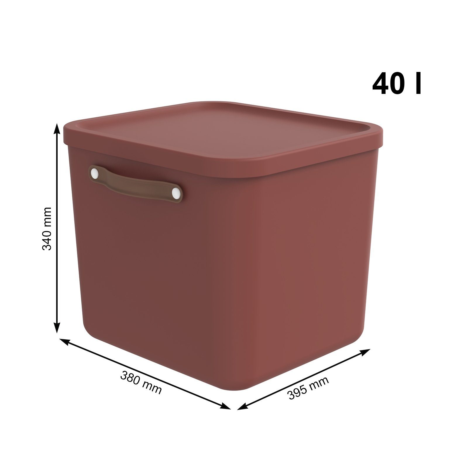 ROTHO Aufbewahrungsbox (Aufbewahrungsset, 2er-Set)