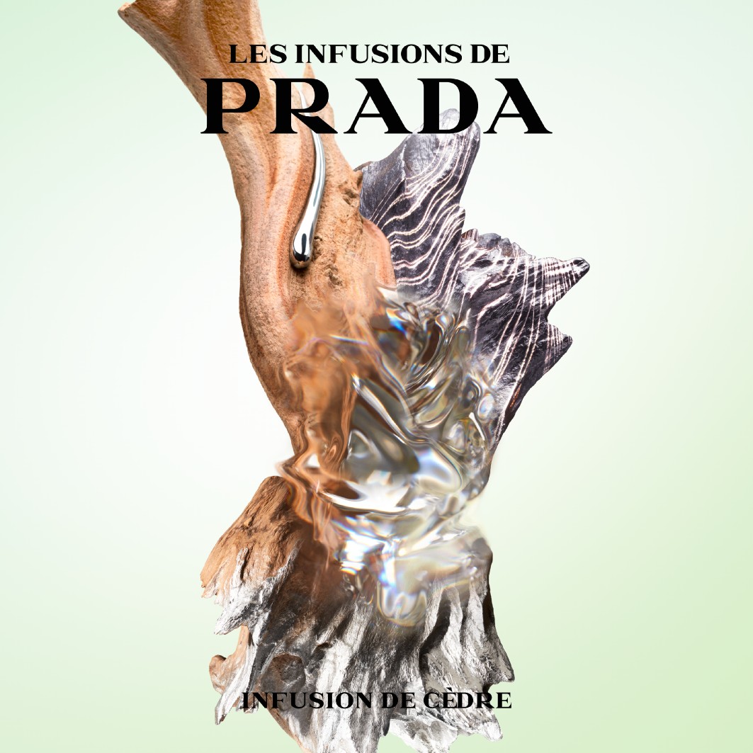 Iris Cedre