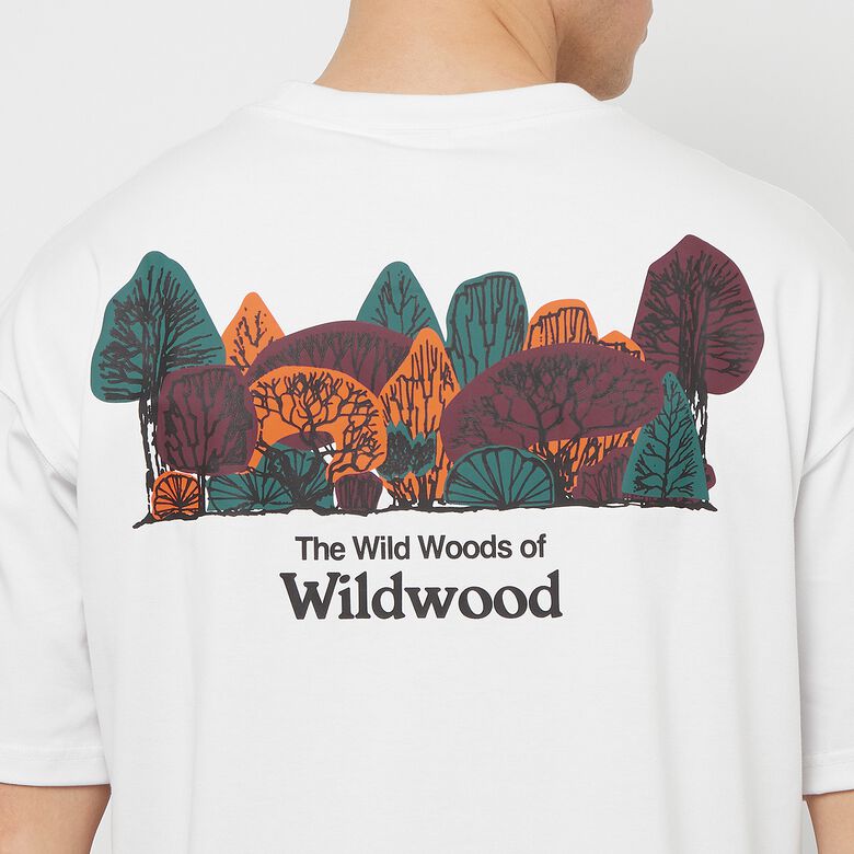 NIKE ACG Wildwood T-Shirt summit white