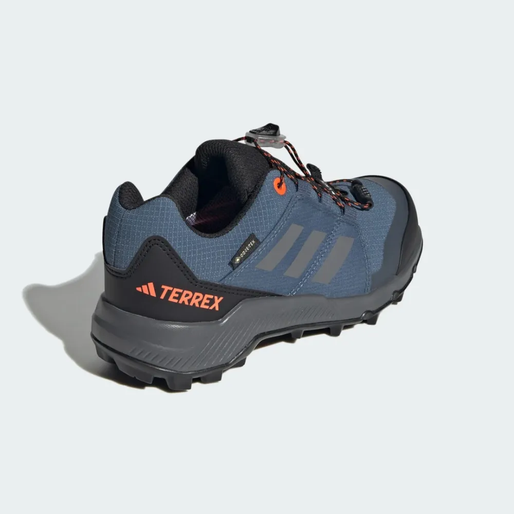 adidas GORE TEX IF5705 / grau
