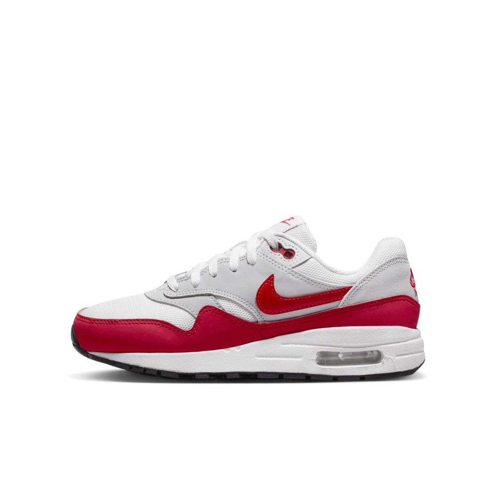 Nike Air Max 1 GS DZ3307-003 / grau