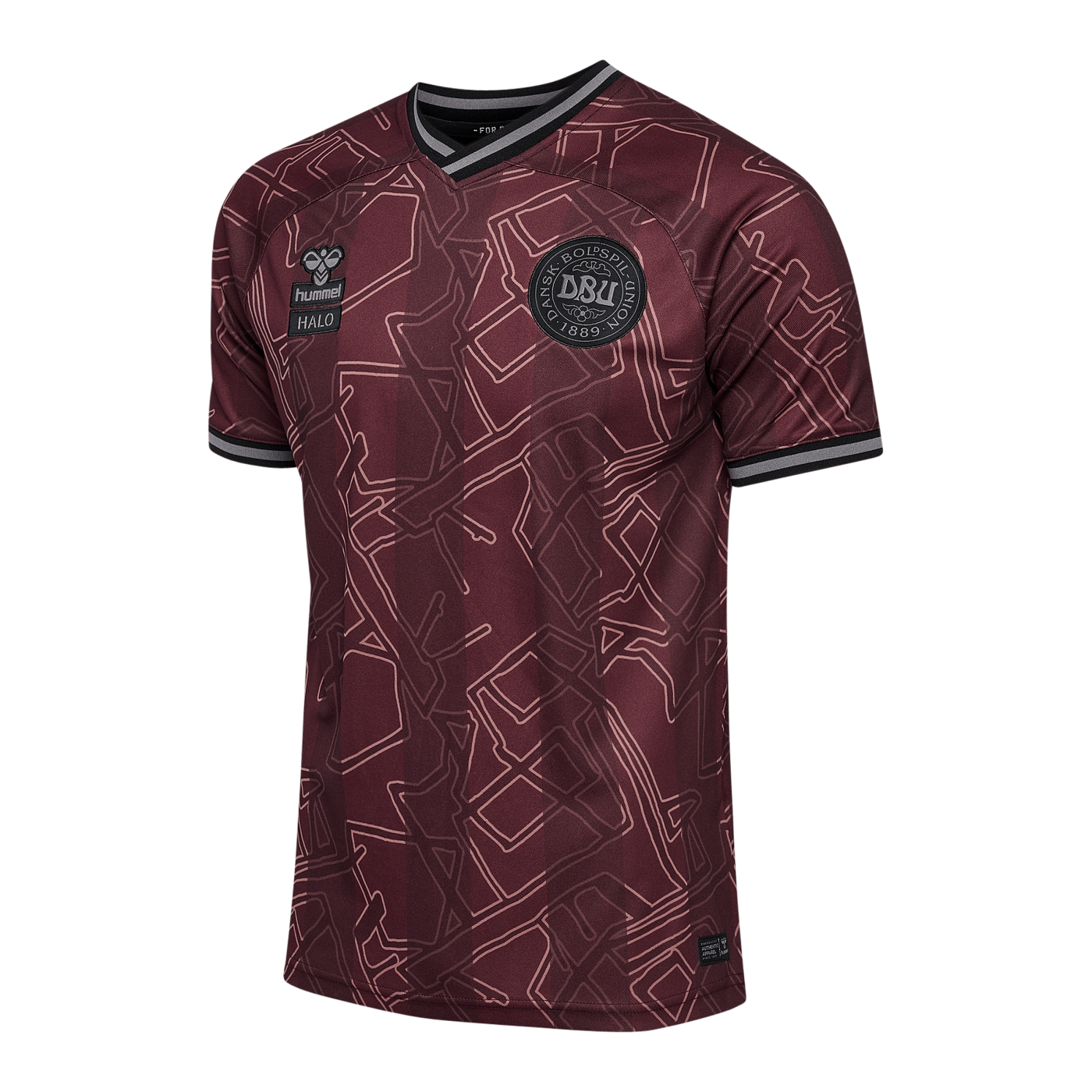 Hummel Dänemark x Halo Trikot 2024 Blau F8186