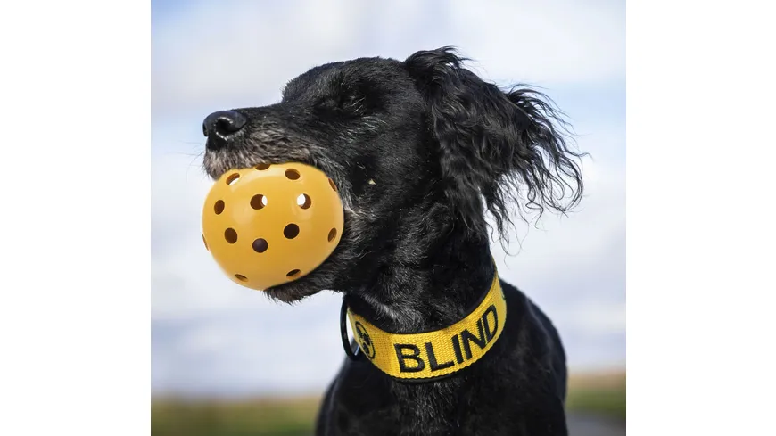 Naturgummi Ball mit Löchern ø 7 cm Hunde Spielzeug