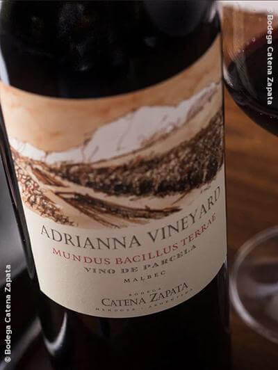 Bodega Catena Zapata : 