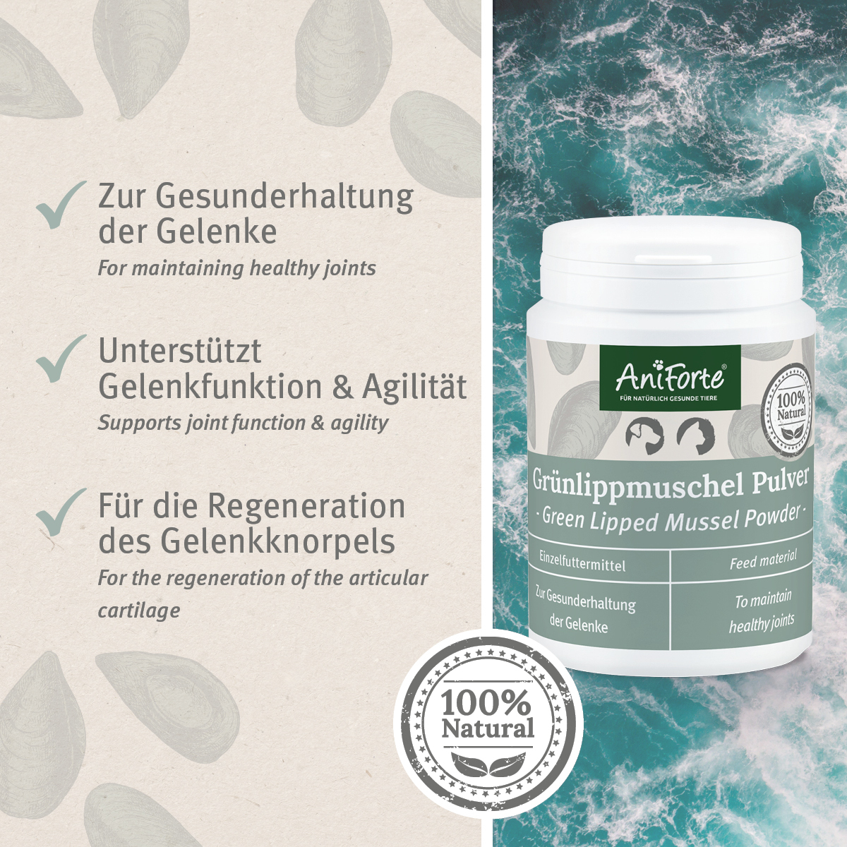 Aniforte Ergänzungsfutter & Aufzucht Aniforte Grünlippmuschelpulver Vollfettqualität 100 g