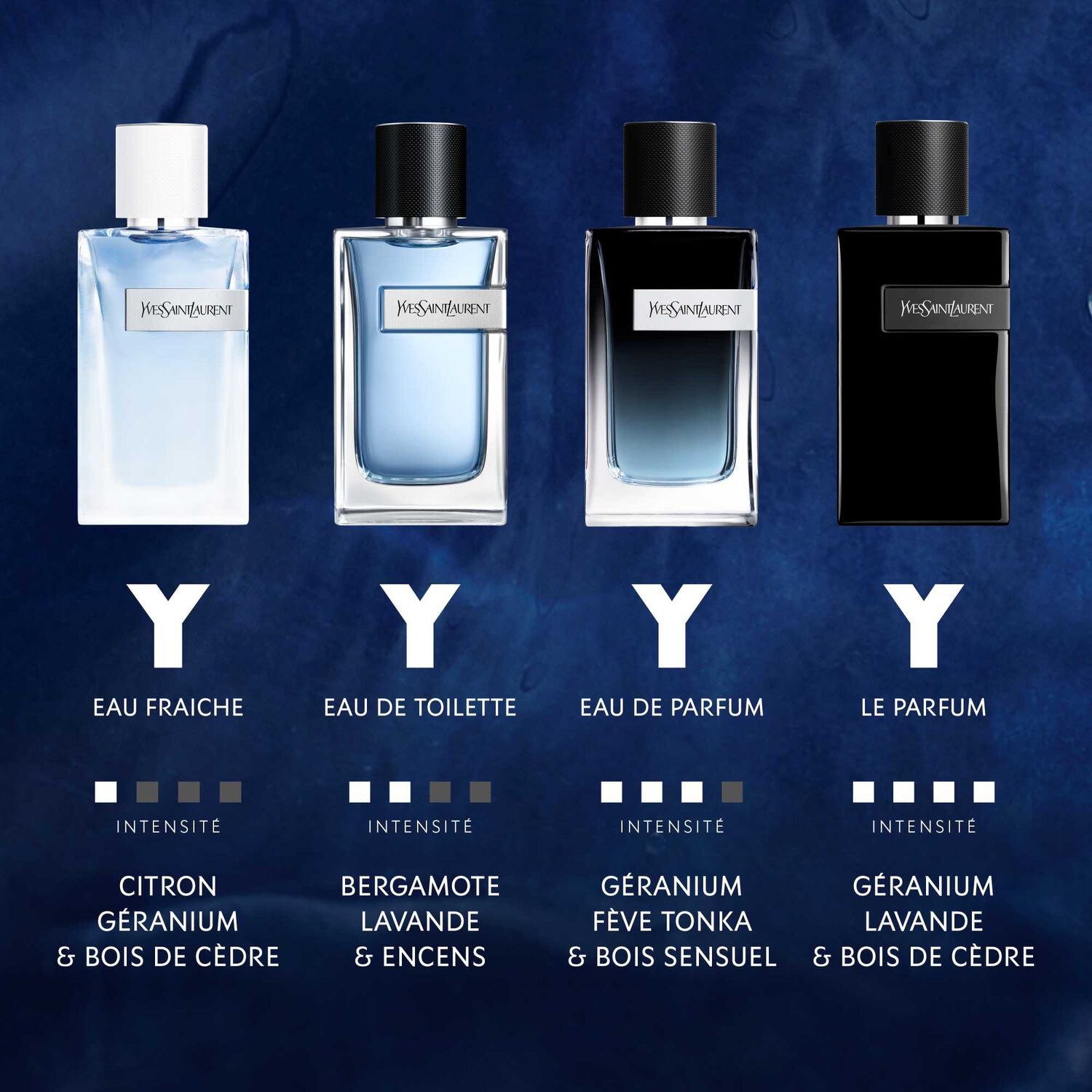 Yves St Laurent Y Eau de Toilette