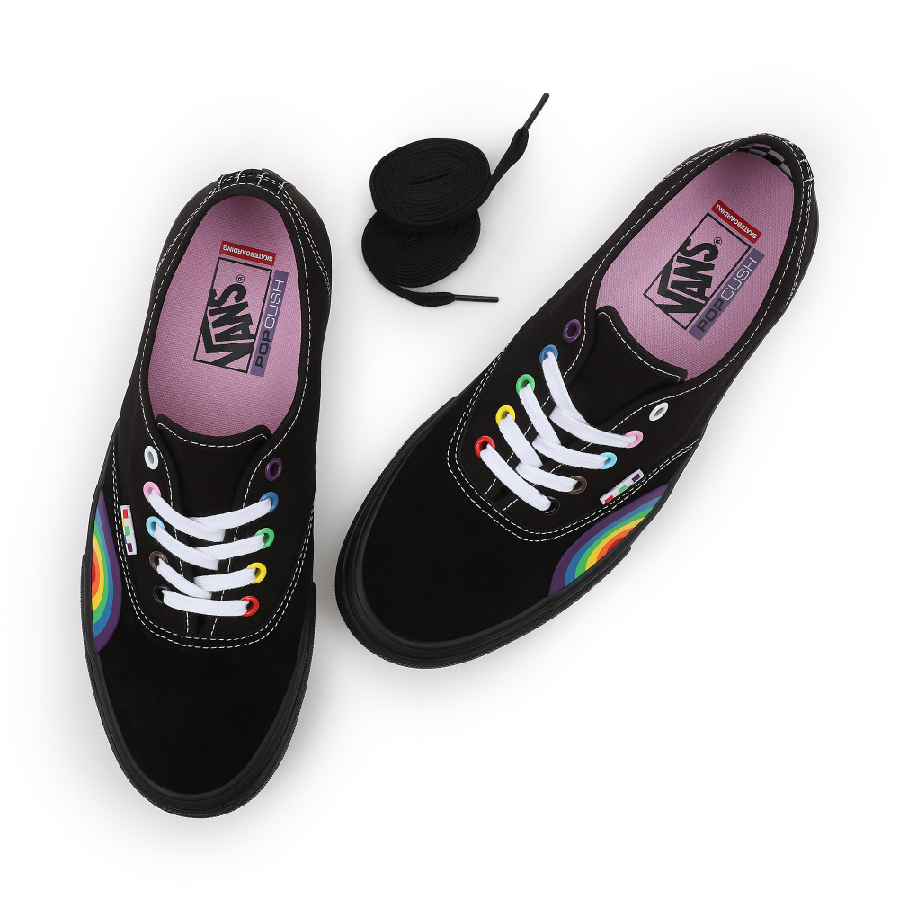 Vans Skate Authentic VN0A5FC8BML1 / schwarz