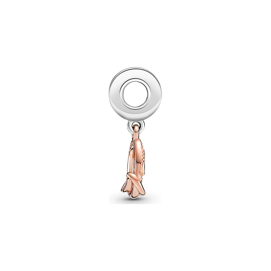 Pandora Charm Moments