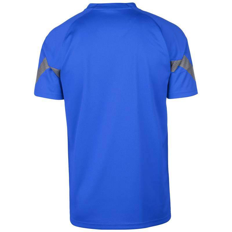 PUMA teamFinal Training Trikot Herren